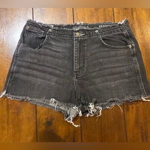 Arizona Junior Size 13 Black Highrise Button Fly Denim Cutoff